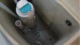 How to remove the water and clean the cistern from a WC cistern that will not flush [upl. by Meekahs]