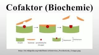 Cofaktor Biochemie [upl. by Asia]