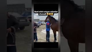 Kozga yosh keldi🥹 Энг Маноли Канал N1🔔reels ibrat instagram ibratli shorts rek horse love [upl. by Nylhsa]