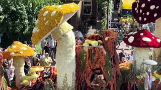 Bloemencorso Lichtenvoorde 2024  Zieuwentseweg  Krak [upl. by Kalindi]