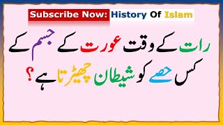 601 Islamic Common Sense Paheliyan in UrduHindi  Dilchasp Islami Maloomat  General Knowledge [upl. by Annaiuq]