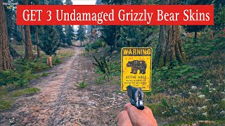 Get 3 Undamaged Grizzly Bear Skins  FAR CRY 5 Gameplay Mission [upl. by Nylahs]