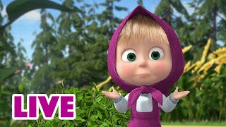 🔴NA ŻYWO 🐺👒 Nieoczekiwany zwrot 🐟🐰 Masza i Niedźwiedź 🐻 Masha and the Bear LIVE [upl. by Randal149]