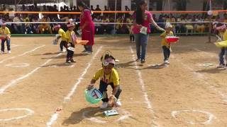 5th Sports day  nursery sports  Hindupur Eurokids [upl. by Gibun]