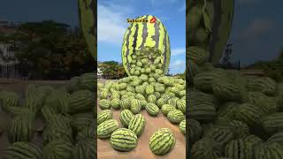 🔥 amazing vfx watermelon converd to small watermelons 3d animation vfxhd video [upl. by Lodie]