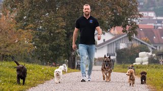 Marc Welti HundetrainingDer Hund ohne Leine [upl. by Ynohtnakram]