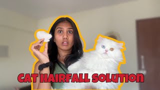 Hairfall solution for cats  TUSKYCHLOE [upl. by Armstrong458]