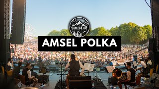 AMSEL POLKA  Woodstock der Blasmusik 2023 LIVE NordSüdOst Böhmische [upl. by Nahtaj]