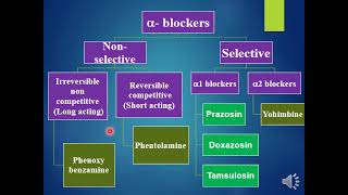 Sympatholytics alpha blockers [upl. by Rafe]