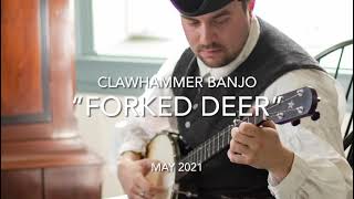 “Forked Deer” clawhammer banjo [upl. by Selimah]