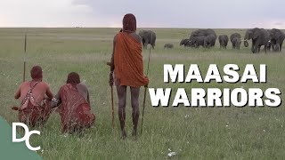 A Look Inside The Last Great Warrior Tribe  The White Maasai Warrior  Documentary Central [upl. by Assirod616]