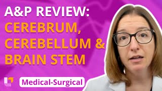 AampP Review Cerebrum Cerebellum amp Brain Stem  MedicalSurgical  Nervous System  LevelUpRN [upl. by Eelirrem]