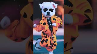 dog dance 🐕🐕animaldance shots funny cartoonday806 jitcatvideos [upl. by Aliehc525]