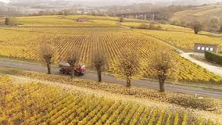 Vu du ciel  Sancerre et son vignoble [upl. by Dnalyr505]