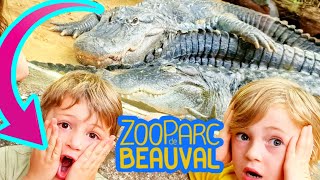 Zoo Parc de Beauval zoobeauval avec French Kids frenchkidsofficiel zoobeauval zoo zooanimal [upl. by Ruomyes]