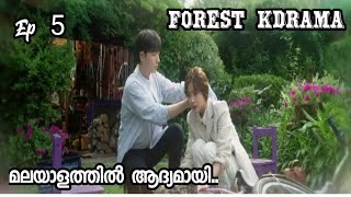 Forest Drama malayalam Explanation cute couples drama ep5 [upl. by Most]