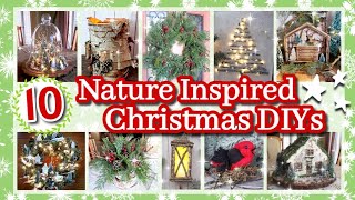 10 Favorite Nature Inspired Christmas DIY Decor  Rustic Christmas Decorations amp Ideas [upl. by Eekaz]