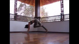 Short 15 min Vinyasa Flow Yoga class  scaravelli inspired embodied yoga [upl. by Nylireg]