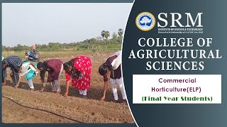 Commercial Horticulture ELP  SRM College of Agricultural Sciences [upl. by Rehotsirk]