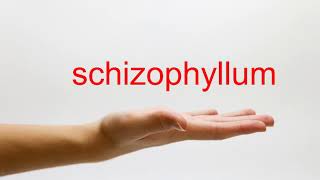 How to Pronounce schizophyllum  American English [upl. by Iarised]