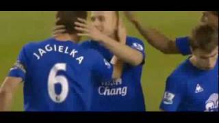 Everton Vs Birmingham  Heitingas Amazing Goal 2011 [upl. by Essyla]