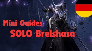 Solo Brelshaza  Mini Guides  Lost Ark [upl. by Rehpotsihrc]