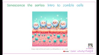 Senescence the series introduction to zombie cells [upl. by Ashford]