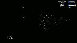 Visualizing Boids A Flocking Simulation [upl. by Innavoig]