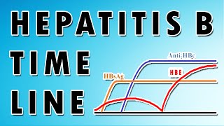 Hepatitis B Serology Patterns for Accurate Diagnosis [upl. by Annayar]