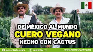 Cuero Vegano son de México y fabrican cuero a partir del cactus [upl. by Ellennahs]