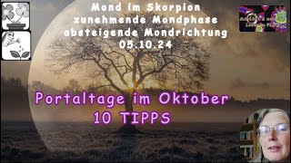 Portaltage im Oktober  10 Tipps wie du damit umgehen kannst [upl. by Shaffert347]