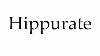 How to Pronounce Hippurate [upl. by Scholem307]