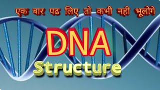 Dna structure in hindi [upl. by Nylesor]