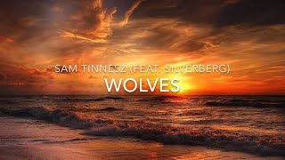 Sam Tinnesz feat Silverberg  Wolves  Lyrics [upl. by Alcot119]