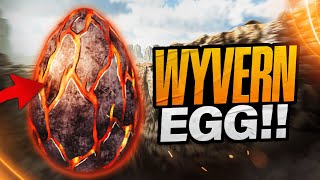 The BEST way to get wyvern eggs  Ark Survival Ascended [upl. by Burnaby438]