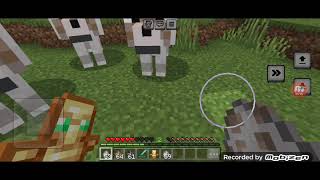 Generando Lobo Gigante Y Llama Y Lobo Y Evocador en Minecraft Bedrock [upl. by Nnylyt]