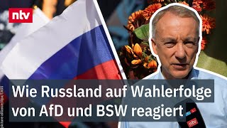 Wie Russland auf Wahlerfolge von AfD und BSW reagiert  Munz Nicht nur ZBlogger jubeln  ntv [upl. by Ahsiugal161]