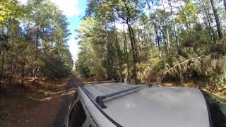 360° Road Trip The Scenic Charms of Texas Dirt Road [upl. by Sancho358]