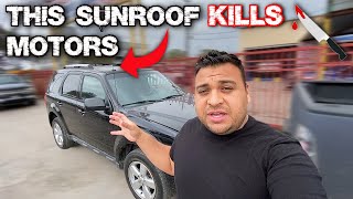 FORD ESCAPE SUNROOF KEEPS BURNING MOTORS DIAGNOSIS [upl. by Deming]