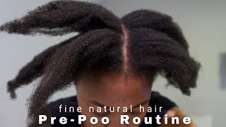 A PrePoo Routine For Type 4 hair [upl. by Yllut]