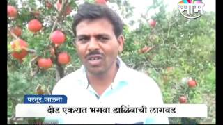 Mukund Tonpes pomegranate farming success story [upl. by Aihsenad]