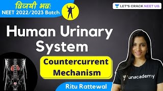 Phoenix 20 Biology Most Important Video for NEET 2025  Udaan [upl. by Ordep439]