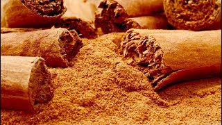 Top 6 Health Benefits Ceylon Cinnamon [upl. by Ortrud]