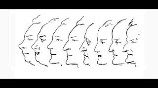 Conférencier Morphopsychologie et personnalité Le visage et ses significations [upl. by Yacov414]