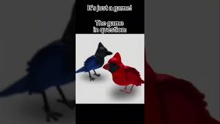 Bird game shorts funny roblox [upl. by Nosmirc353]