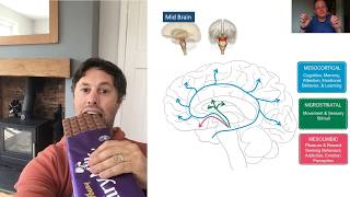 Reductionist v holistic Evaluating Approaches in Psychology [upl. by Patman]