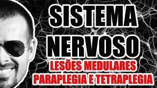 Sistema Nervoso Lesões da medula espinal Paraplegia e tetraplegia  Anatomia  VídeoAula 012 [upl. by Damita]