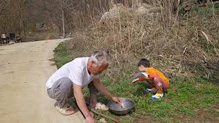 마당에서 아들이랑 봄 달래 캐요맛있는 달래장인간극장특종세상달래가 너무 커요 [upl. by Judon]