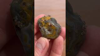 Lovely limonite stained agate found on beach shorts agate rockhounding geology [upl. by Engud]