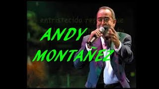 COBARDE COBARDE  ANDY MONTAÑEZ [upl. by Harrietta441]